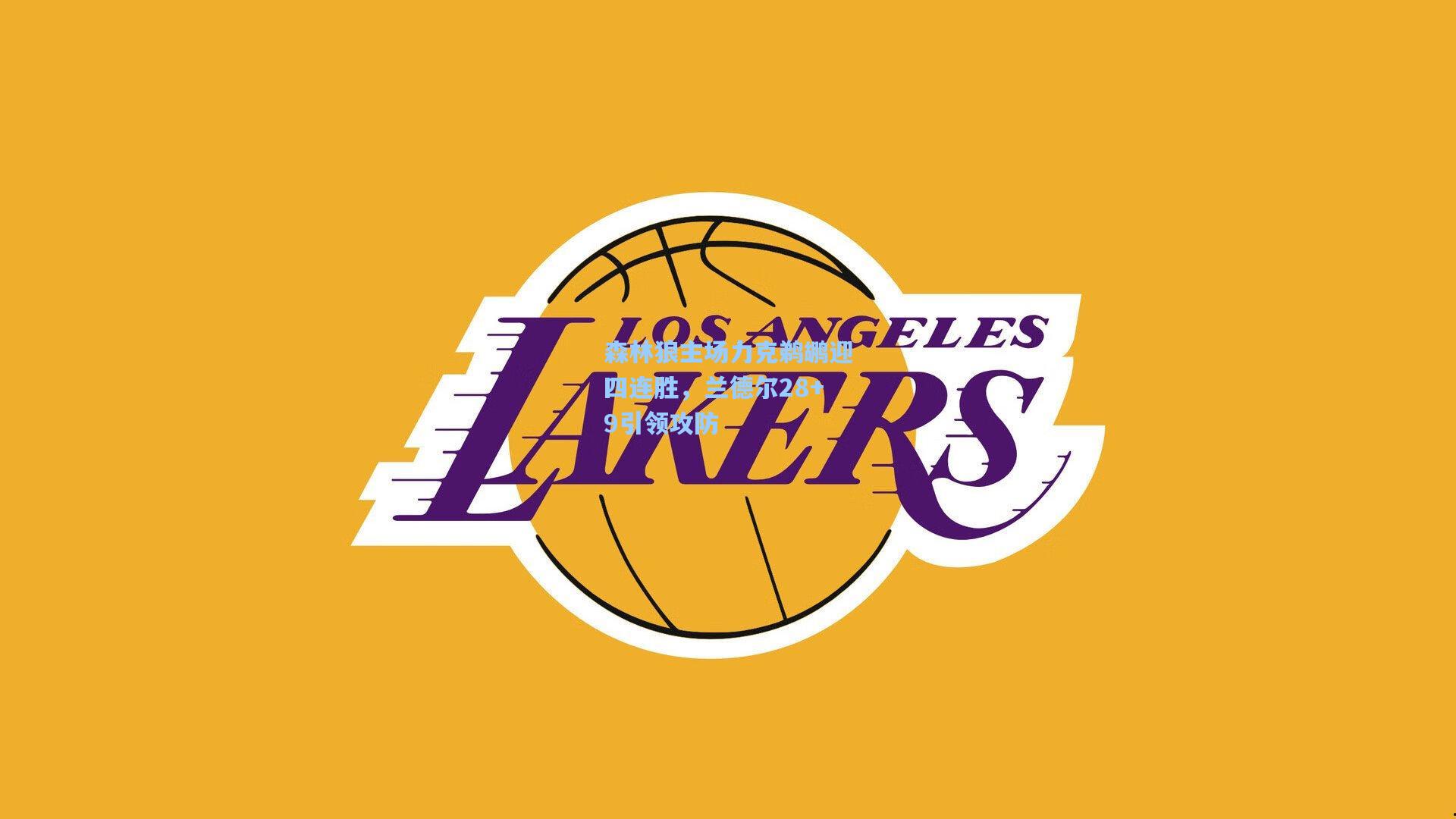 森林狼主场力克鹈鹕迎四连胜，兰德尔28+9引领攻防