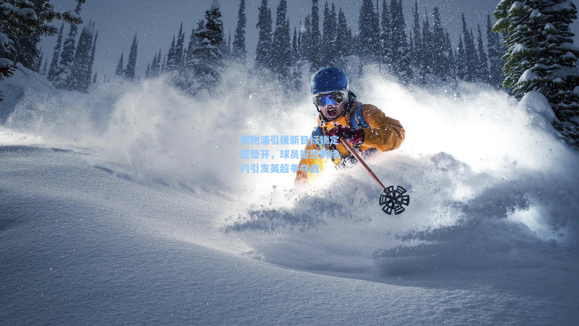 利物浦引援新目标锁定范德芬，球员拒热刺续约引发英超争夺战